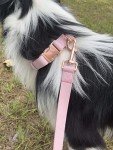 Pink Vegan Leather Dog Collar and Leash Set