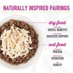 Tiki Cat After Dark Variety Pack, High-Protein Wet Cat Food