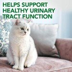 Cat Urinary Tract Support Chewables | Healthy for Cats