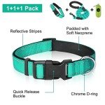 Reflective Dog Collar & Leash Set for Large Dogs