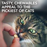 Cat Urinary Tract Support Chewables | Healthy for Cats