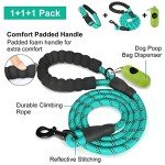 Reflective Dog Collar & Leash Set for Large Dogs