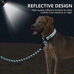Reflective Dog Collar & Leash Set for Large Dogs