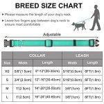 Reflective Dog Collar & Leash Set for Large Dogs