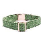 Green Cotton Dog Collar & Leash for Dogs