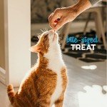 Grain Free Soft & Chewy Tuna Cat Treats