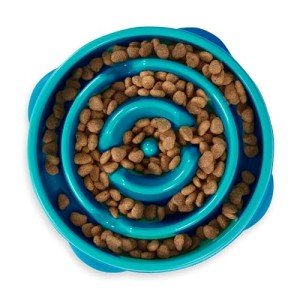 Turquoise Outward Hound Fun Feeder for Dogs
