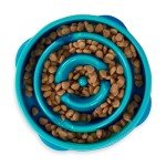 Turquoise Outward Hound Fun Feeder for Dogs