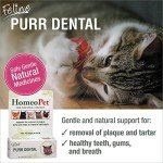 HomeoPet Feline Purr Dental Care, 15ml Bottle