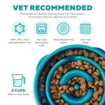 Turquoise Outward Hound Fun Feeder for Dogs