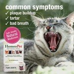 HomeoPet Feline Purr Dental Care, 15ml Bottle