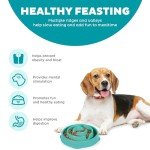 Turquoise Outward Hound Fun Feeder for Dogs