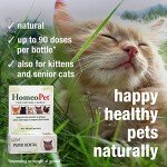 HomeoPet Feline Purr Dental Care, 15ml Bottle