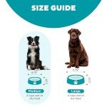 Turquoise Outward Hound Fun Feeder for Dogs