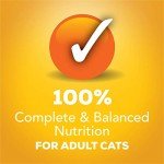 Friskies Gravy Wet Cat Food Variety Pack - 12 Cans