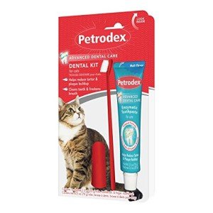 Cat Dental Care Kit with Toothbrush and Malt Toothpaste