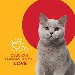 Cat Dental Care Kit with Toothbrush and Malt Toothpaste