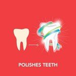 Cat Dental Care Kit with Toothbrush and Malt Toothpaste