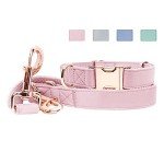 Stylish Rose Gold Dog Collar & Leash Set