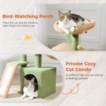 Cactus Cat Tree for Indoor Cats, 31.5