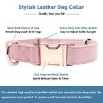 Stylish Rose Gold Dog Collar & Leash Set