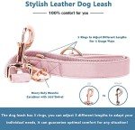Stylish Rose Gold Dog Collar & Leash Set