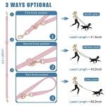 Stylish Rose Gold Dog Collar & Leash Set