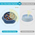 UPSKY Anti-Chocking Slow Feeder Pet Puzzle Bowl