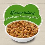 Purina Friskies Dry Cat Food, Chicken Flavor - 22 lb