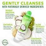 Aloe & Coconut Deodorizing Pet Shampoo | Natural Ingredients