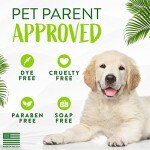 Aloe & Coconut Deodorizing Pet Shampoo | Natural Ingredients