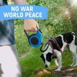 Blue Retractable Dog Leash for Small/Medium Dogs, 10/16 FT