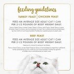 Purina Fancy Feast Gravy Lovers Variety - 24 Cans