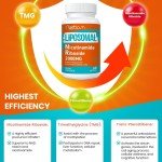 2000 MG Liposomal Nicotinamide Riboside - 2 Pack