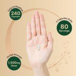 TMG Trimethylglycine 1500mg - 240 Capsules
