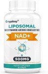 Orgabay Liposomal NAD+ 500mg Supplement for Energy Boost