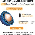 Orgabay Liposomal NAD+ 500mg Supplement for Energy Boost