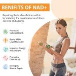 Orgabay Liposomal NAD+ 500mg Supplement for Energy Boost