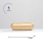 Liver Support Capsules with Milk Thistle & NAC