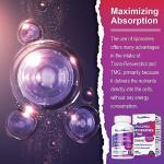 Liposomal Resveratrol with TMG - 2200 MG Antioxidant