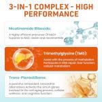 Aesticum 2000 MG Liposomal NMN Supplement - 120 Softgels