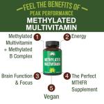 Methylated Multivitamin with B Complex & TMG