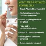 Methylated Multivitamin with B Complex & TMG