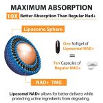 Orgabay Liposomal NAD+ with TMG for Energy