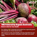 TMG Gummies 1000mg for Energy & Brain Health