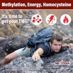 TMG Gummies 1000mg for Energy & Brain Health