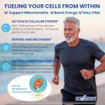 NAD+ Supplement - Energy, DNA Repair & Aging Support