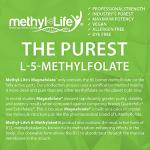 Methyl-Life B-Methylated II Active Folate Chewables