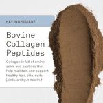 Amy Myers MD Double Chocolate Paleo Protein Powder