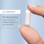 Amy Myers MD Maximum Strength Probiotic Capsules